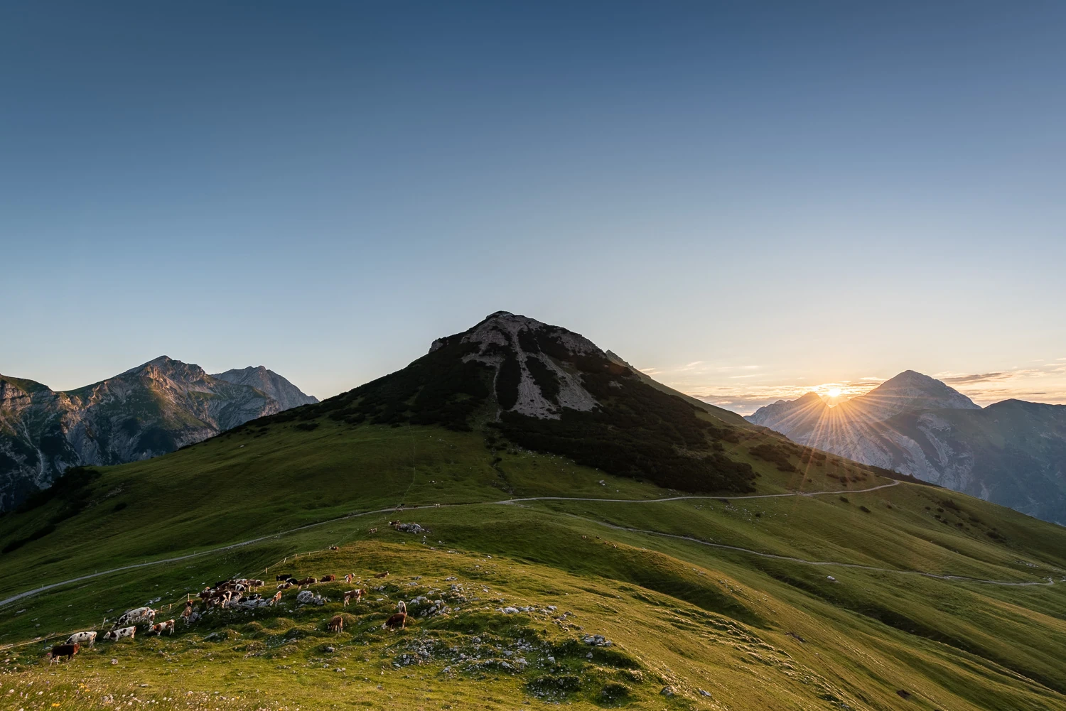 Sonne über grünen Almen und Tiroler Berggipfeln