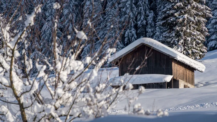 Holzhütte im verschneiten Wald